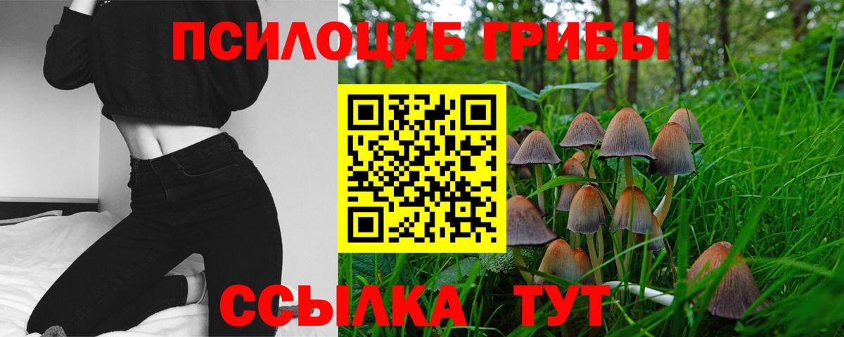 Тимашёвск  Галлюциногенные грибы прущие грибы  Вход с VPN 